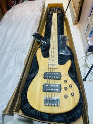 Ibanez 5 Strings Bass Guitar With Complete Accessories