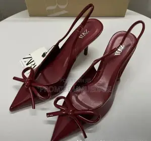 Zara Heel Shoe