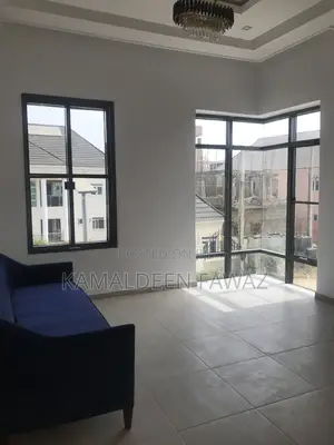 Frameless/Transom Window