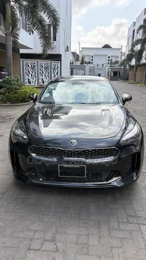 Kia Stinger 2.5 Petrol AWD 2020 Gray