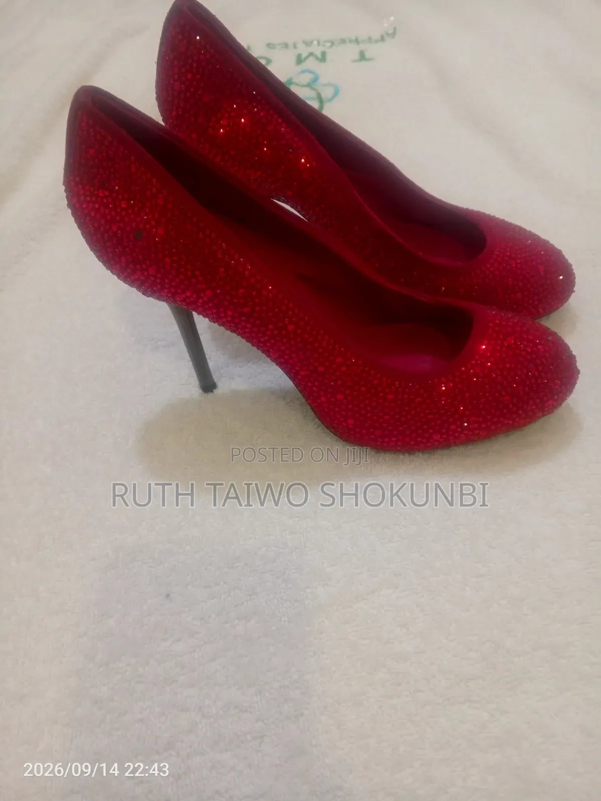 Elegant Shoes