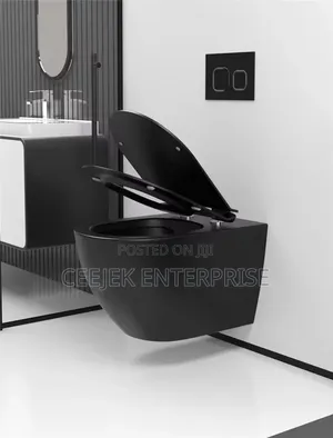High Quality Black Conseal Water Closet