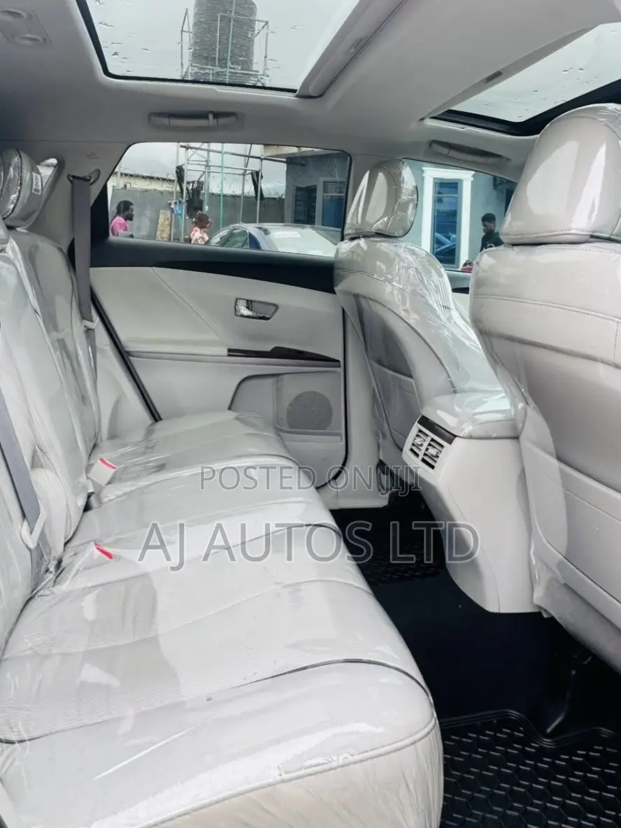 Toyota Venza 2010 Silver