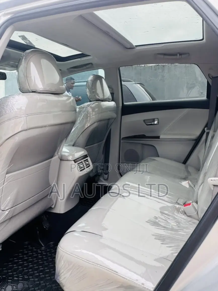 Toyota Venza 2010 Silver