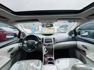 Toyota Venza 2010 Silver