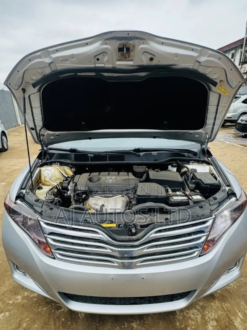 Toyota Venza 2010 Silver