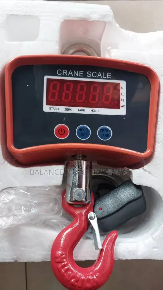 500kg Crane Scale