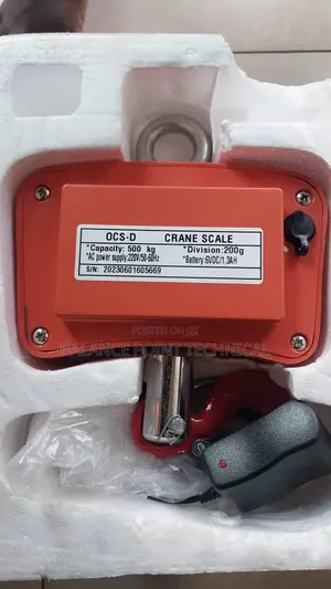 500kg Crane Scale