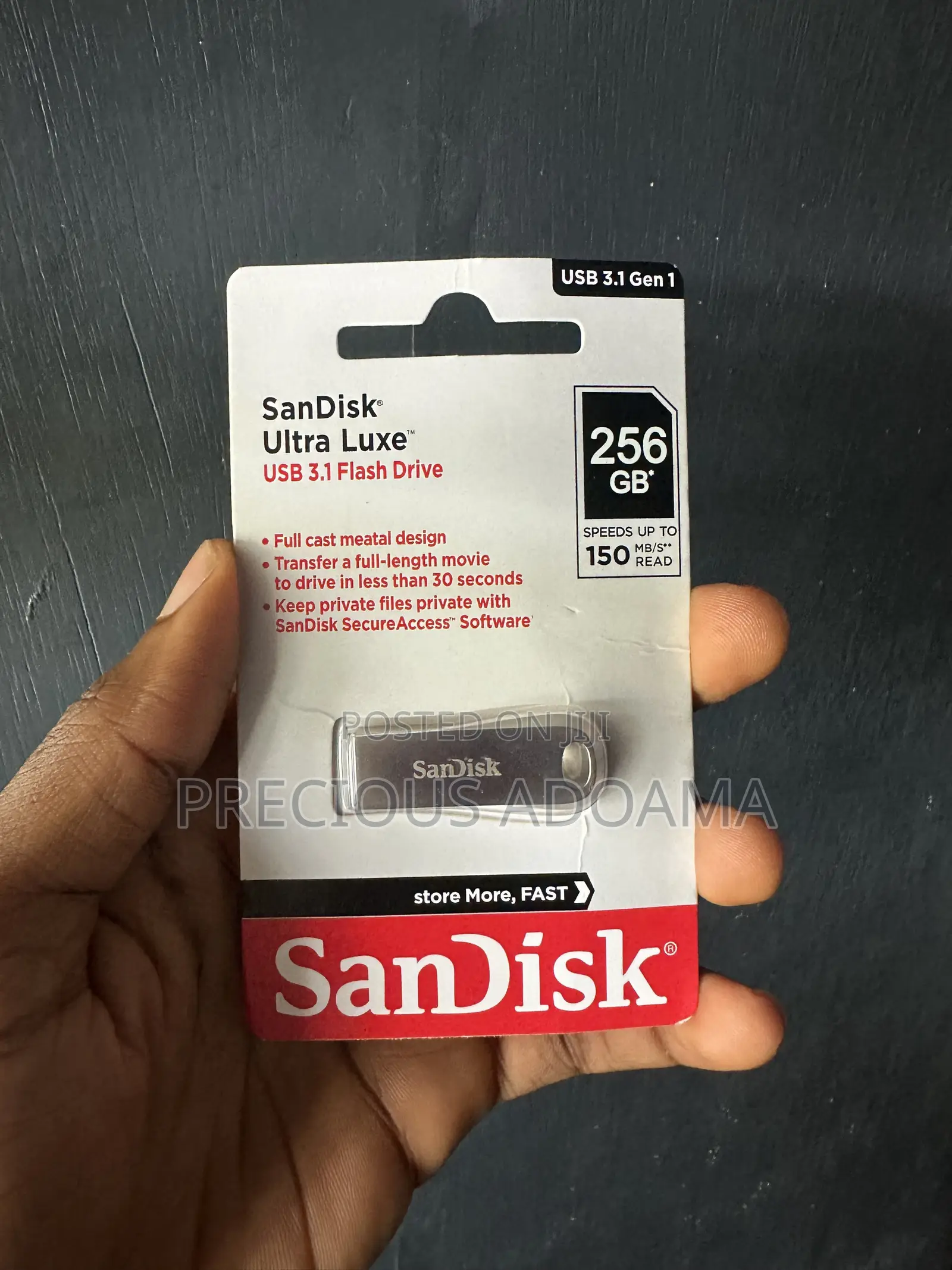 256GB SanDisk Flash Drive