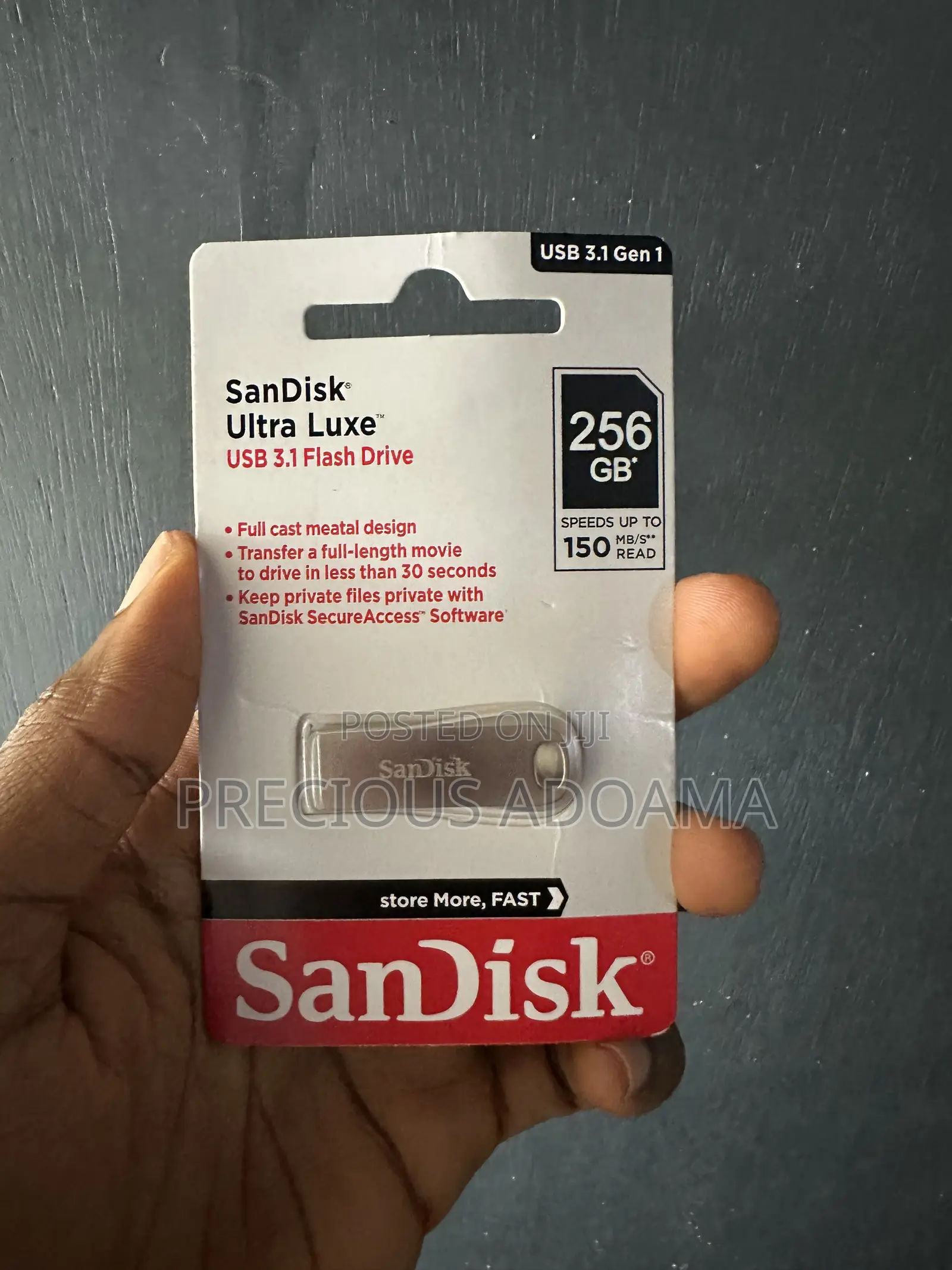 256GB SanDisk Flash Drive