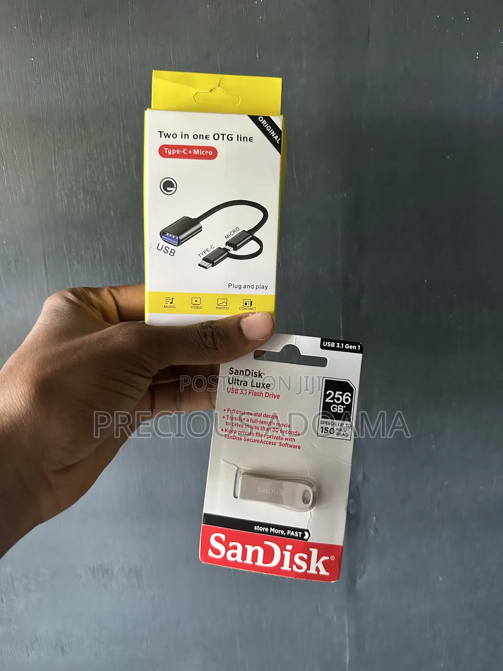 256GB SanDisk Flash Drive