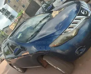 Nissan Murano 2010 Blue