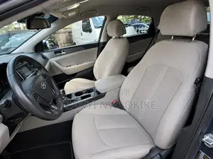 Hyundai Santa Fe 2015 Gray