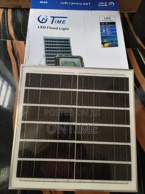 60w Flood Light