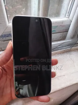 Apple iPhone 15 Pro Max 256 GB Gray