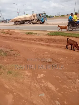 Unicem Cement Supplier and Dangote
