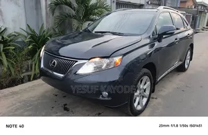 Lexus RX 2010 Gray