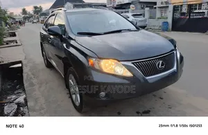 Lexus RX 2010 Gray