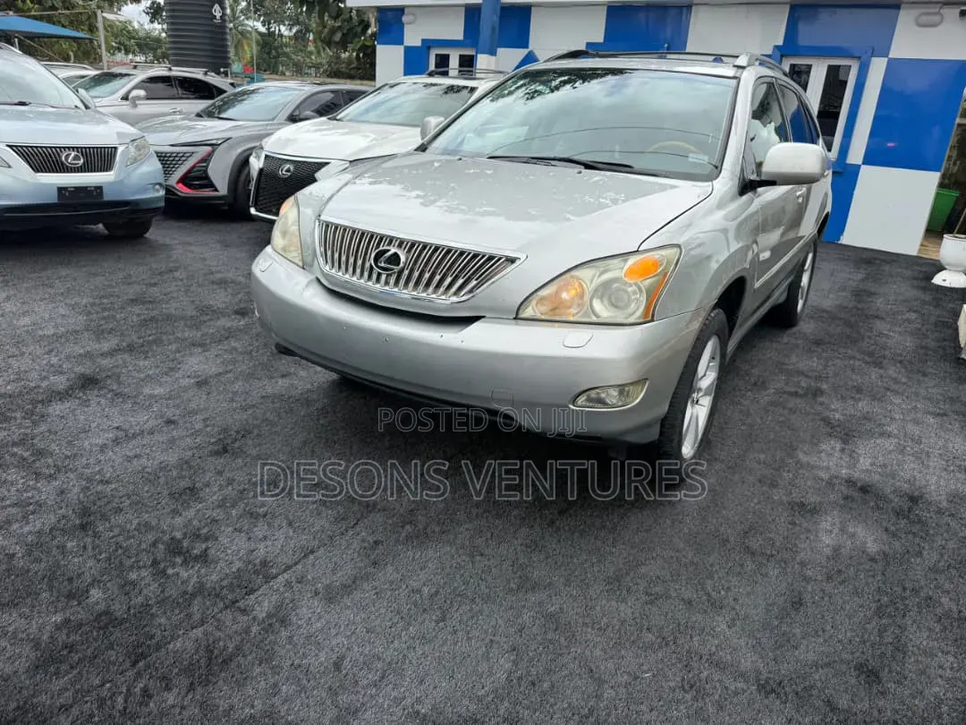 Lexus RX 330 2006 Silver
