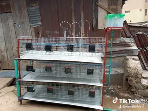 Survival Poultry Equipments