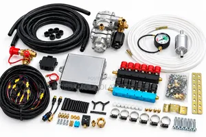8 Plug CNG Conversion Kit – AEB Sequential Gas Injection System