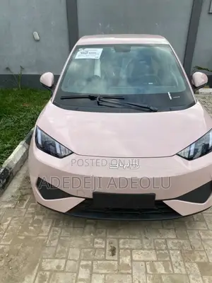 New BYD Seagull 2025 Pink
