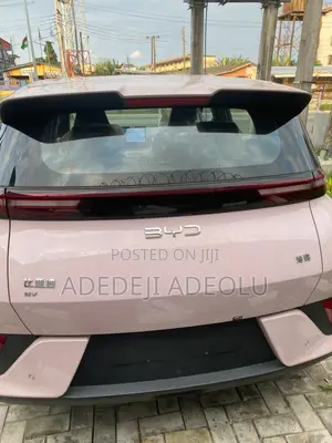New BYD Seagull 2025 Pink