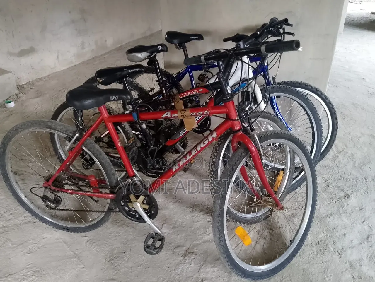 New Arrival Belgium Bicycle for Sale