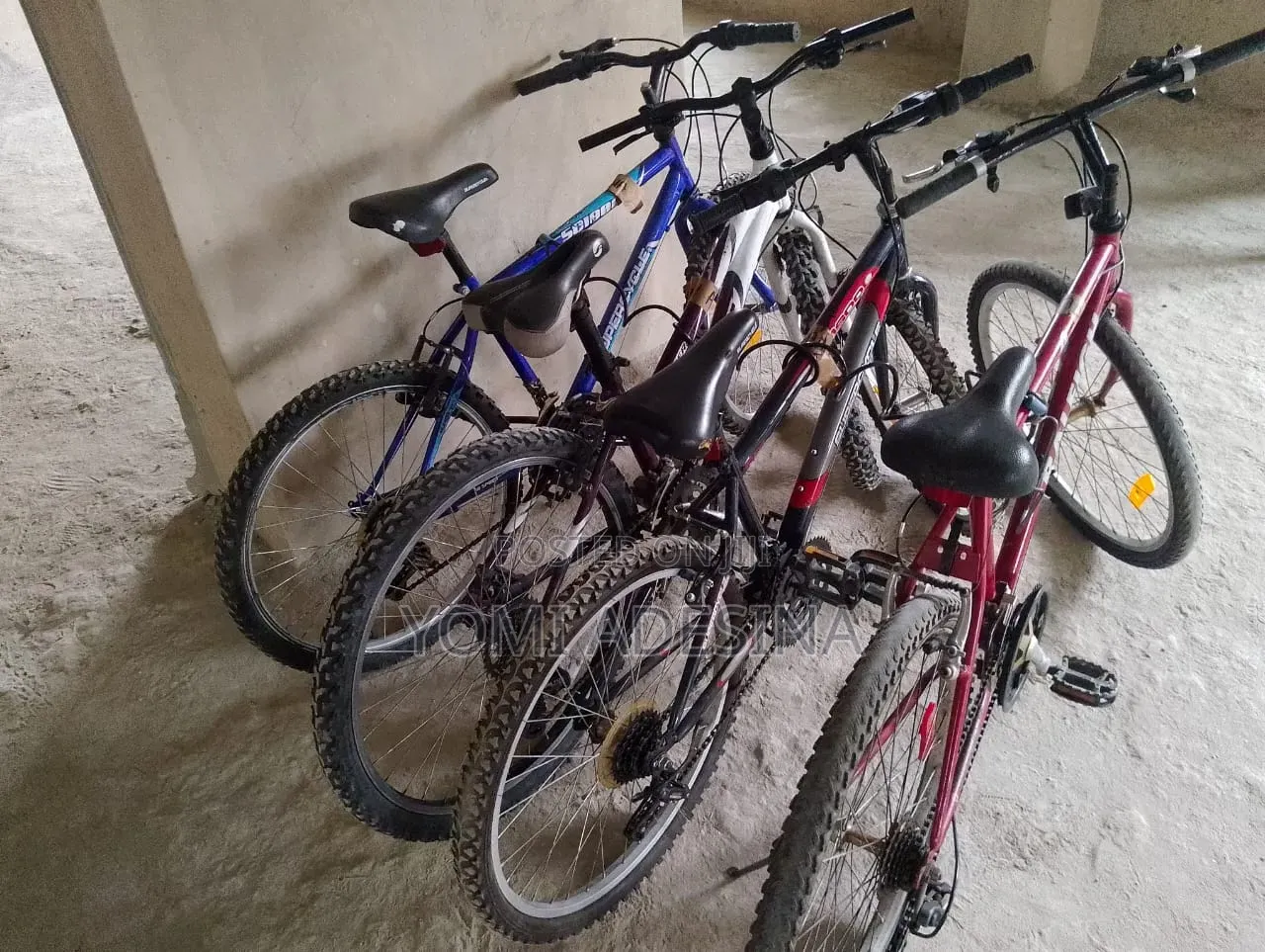 New Arrival Belgium Bicycle for Sale
