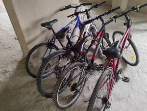 New Arrival Belgium Bicycle for Sale