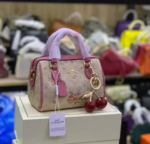 Coach Luxury Ladies Bag (Boxed)