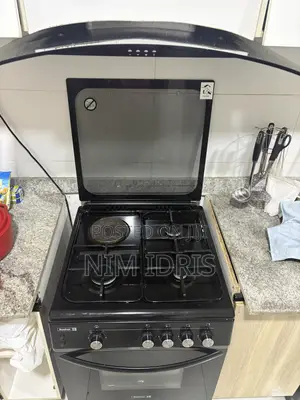Scanfrost Electric Gas Cooker
