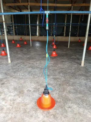 Provider Poultry Cage