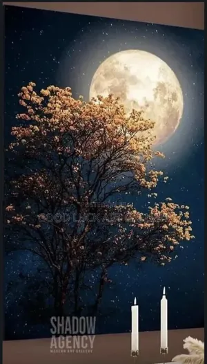 Full Moon Canvas Art