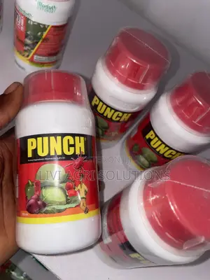 Punch Insecticide