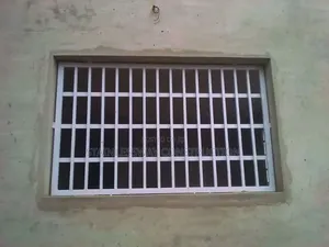 Heavy-Duty Window Protector