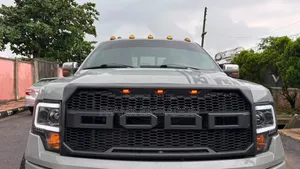 Ford F-150 2011 Gray