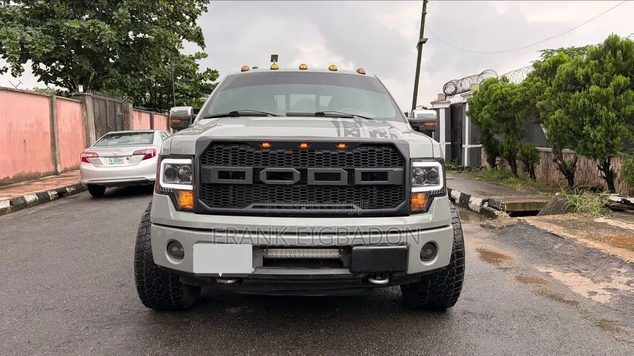 Ford F-150 2011 Gray
