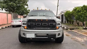 Ford F-150 2011 Gray