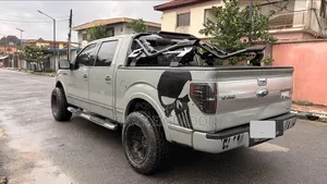 Ford F-150 2011 Gray