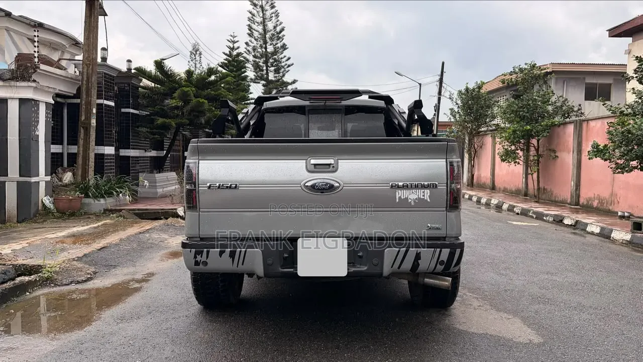 Ford F-150 2011 Gray