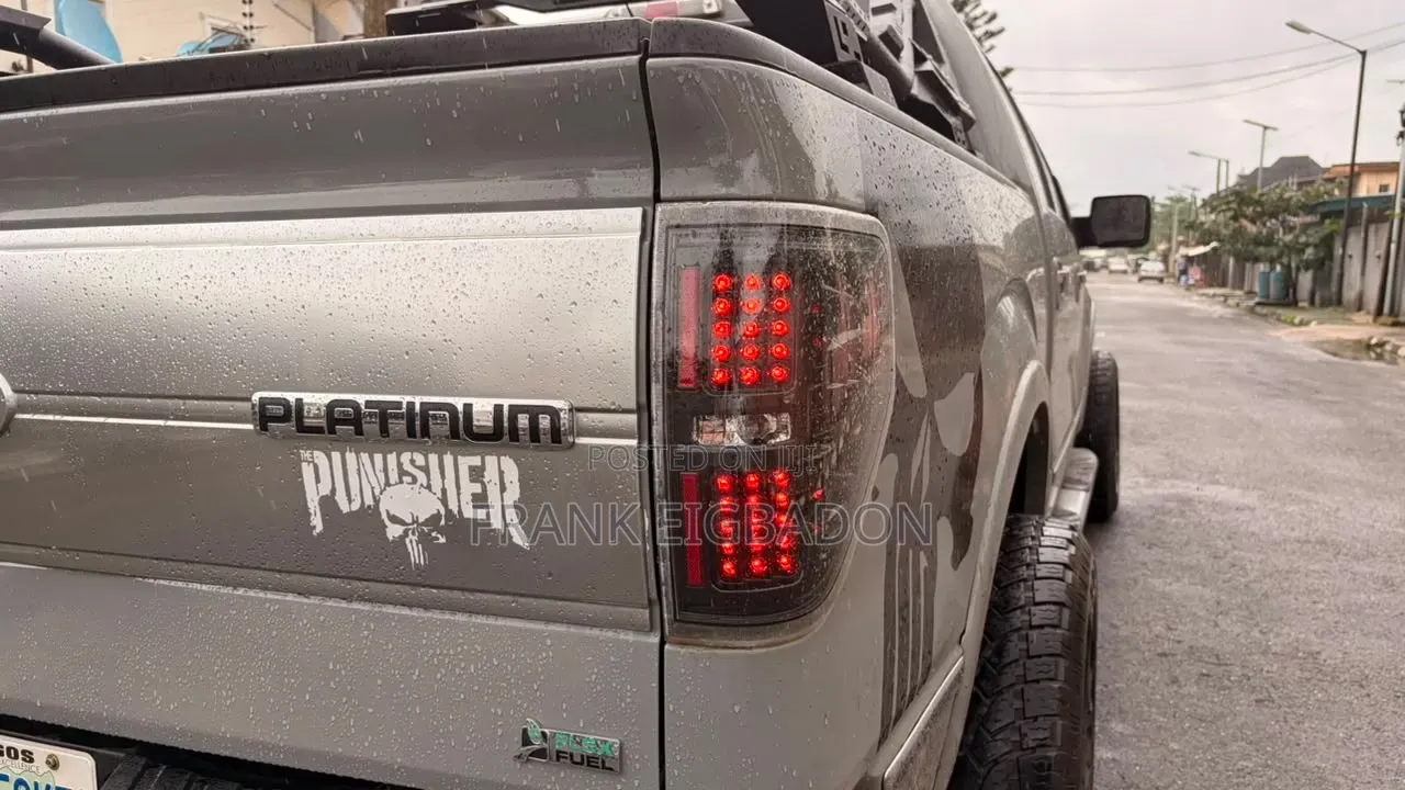 Ford F-150 2011 Gray