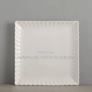 Ceramic Dinner Plate