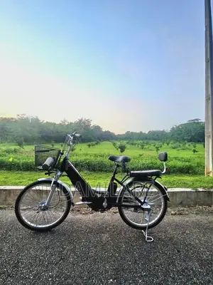 Electric Bicycle With Carrier