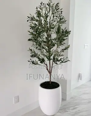 Pot Flower