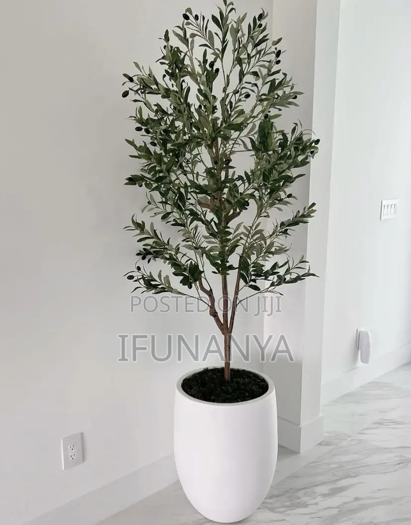 Pot Flower