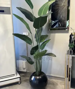 Pot Flower