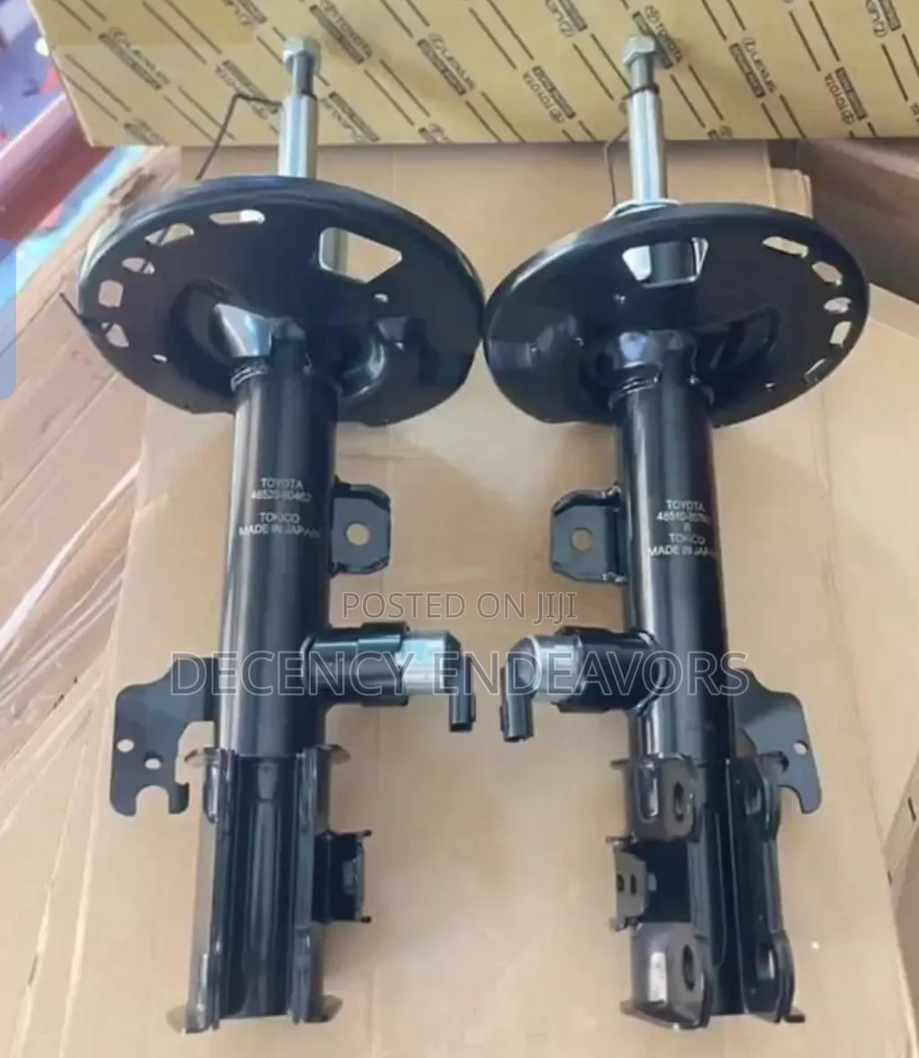Back Shock Absorber