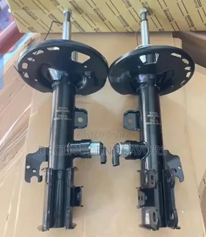 Back Shock Absorber