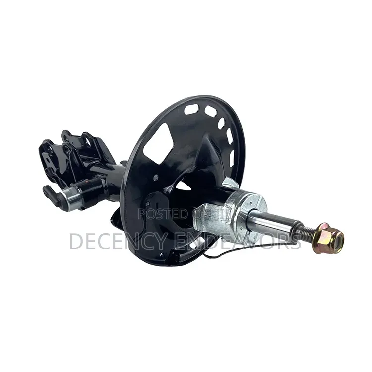 Back Shock Absorber